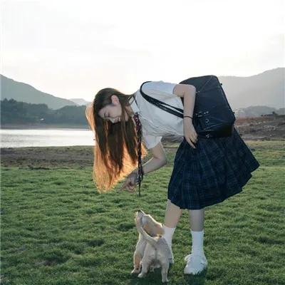 田禹治